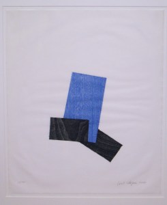 ジョエルシャピロ